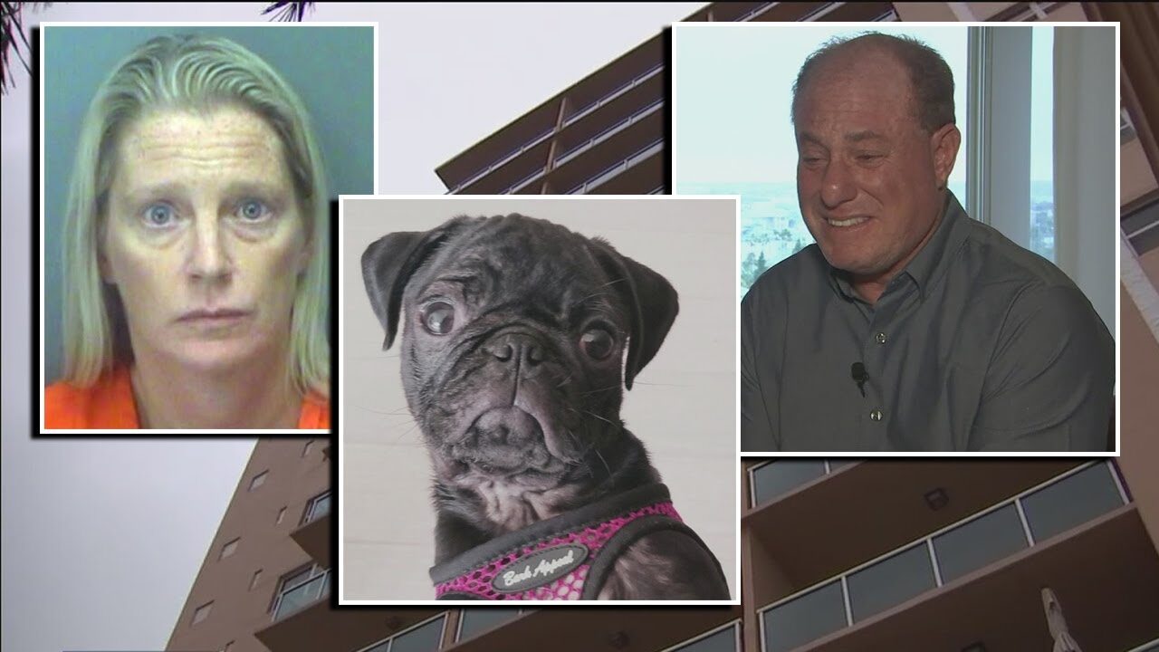 Florida man watched girlfriend throw dog off 7th floor balcony